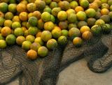 Oranges