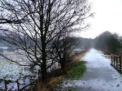 footsteps in the snow...