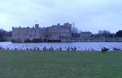 u36/paul_h/medium/25749730.s5000_leedscastl104br.jpg