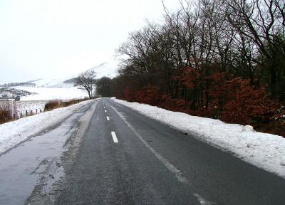 scot2-106br.JPG