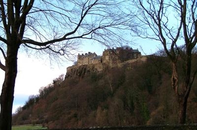 scot2 152br.JPG