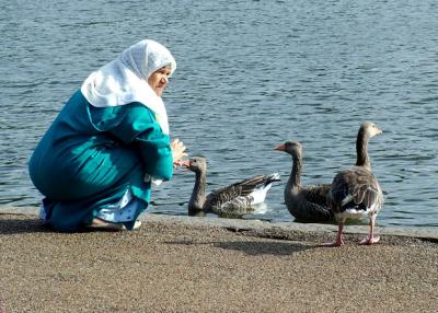 feeding the birds..