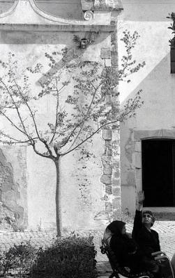 u36/paul_teixeira/medium/23557139.portug51.jpg