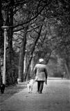 Old man in Amsterdam