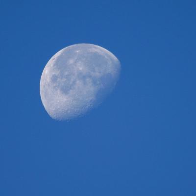 Daytime moon