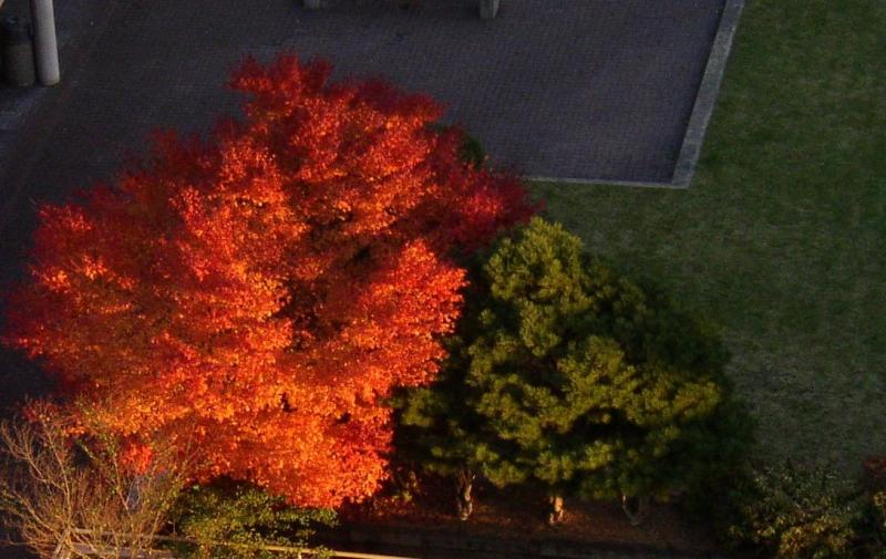 PB210013A.jpg