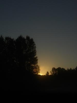PA020078.jpg