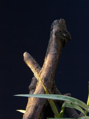 PA020141.jpg