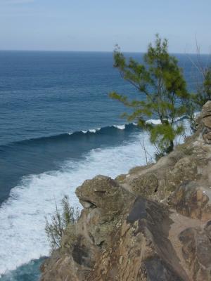 DSC07237B.jpg