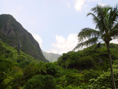 DSC07284B.jpg