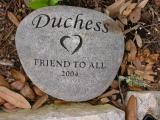 Tribute to Duchess