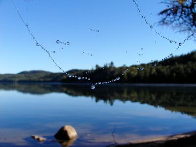 Drops
