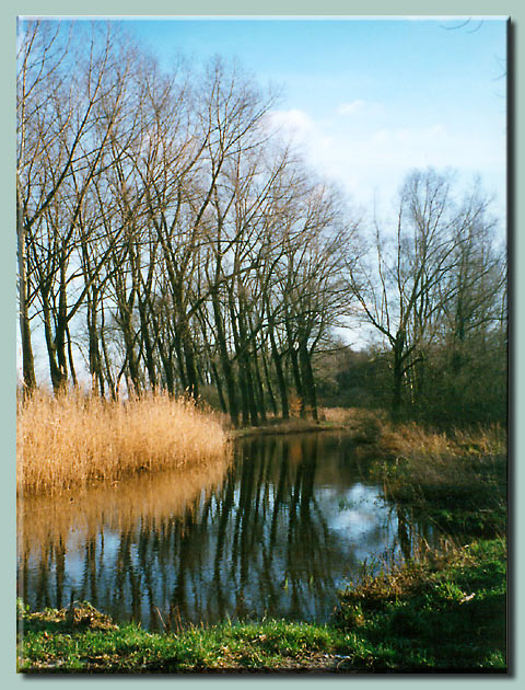 Another river somewhere in Holland