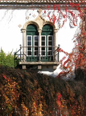 A View to Autumn