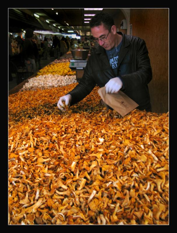 Girolles