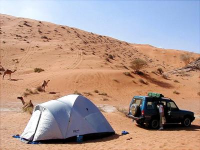 These camels were here when we pulled up -- we knew this camp would be a good one!