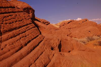 DSC_0458.JPG