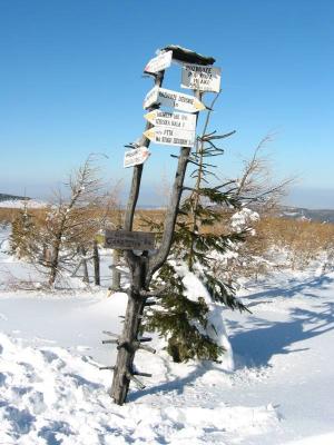 151-5174_IMG.JPG