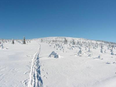 151-5179_IMG.JPG
