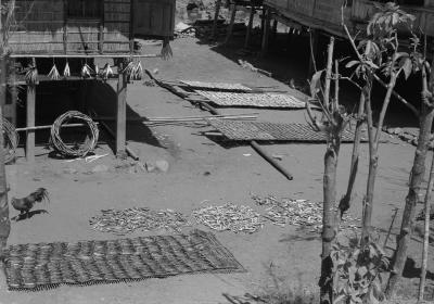 u36/plbh/medium/32299301.11_15_Kampung.jpg