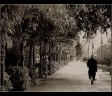 Sevilla memories ...