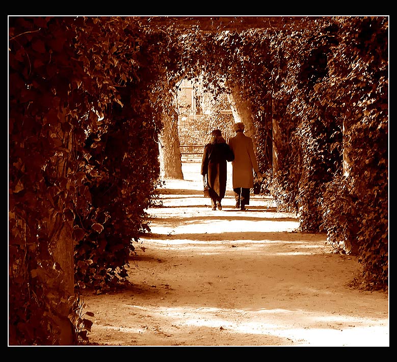The City Parq of Caldas da Rainha ... 5
