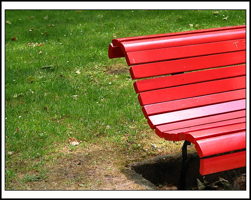 The City Parq of Caldas da Rainha ... 6