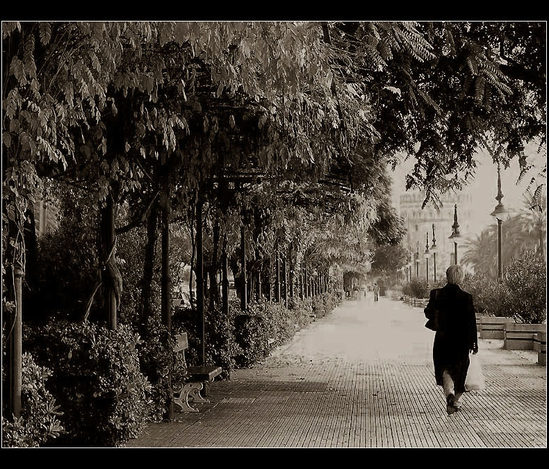 Sevilla memories ...