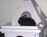 Ashy In His Royal Castle