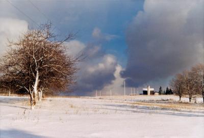 Winter Sky