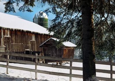 Corn Crib