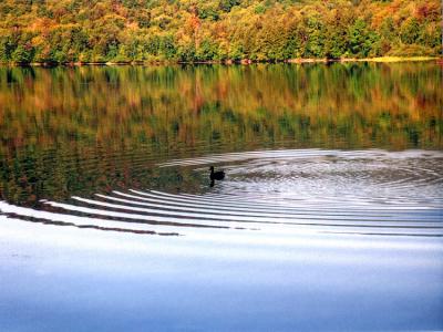 Adirondack Lake 1