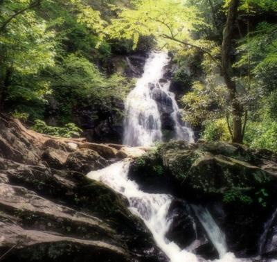 Tennessee Falls