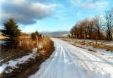 Farm Driveway