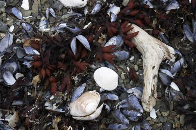 On the Beach 2.jpg