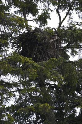 Eagles Nest.jpg