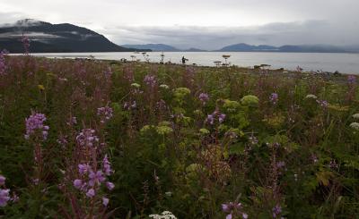 View from Wood Spit.jpg