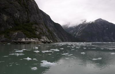 Up Tracy Arm.jpg