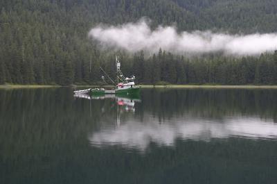 Coming into Eliza Bay 4.jpg