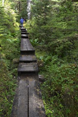 Bog Walk Boardwalk 1.jpg