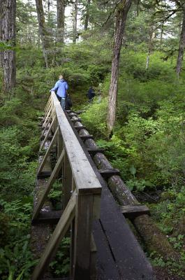 Crossing the Bridge.jpg