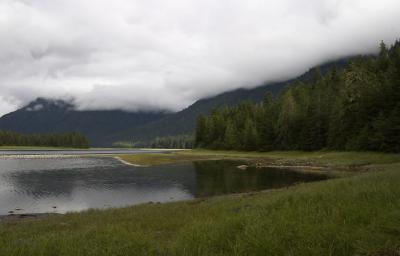 Tidal Wetlands.jpg