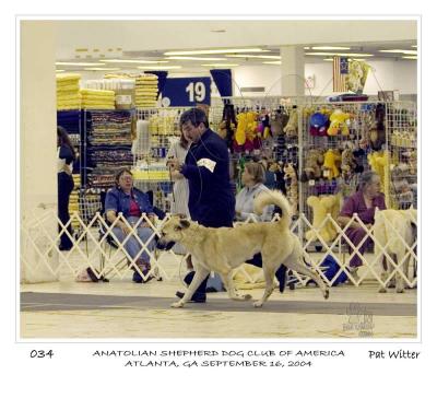 u36/pwitter/medium/34449442.atlanta_asdca34.jpg