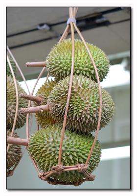 Durians - Geylang
