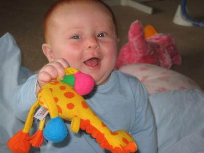 u36/ramnris/medium/34500941.re64444.jpg