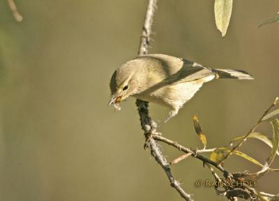 C10D_03337.jpg