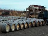 Wine Casks