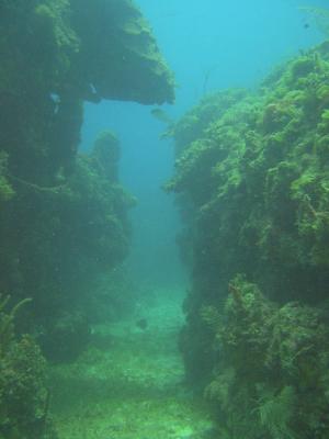 Begining of Lil Cayman dive site