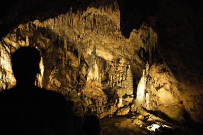 DSC_0559w.jpg