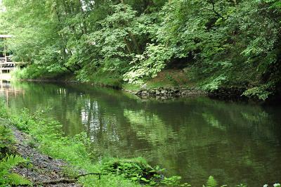 u36/rdelbar/medium/32309460.DSC_0609w.jpg